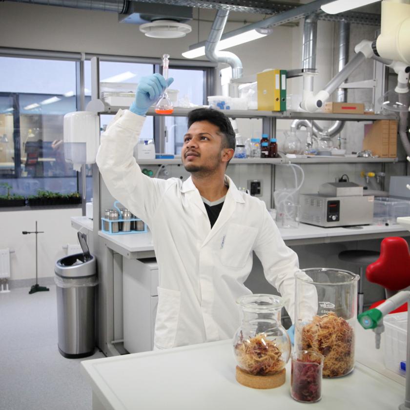 scientist observing a test in a lab