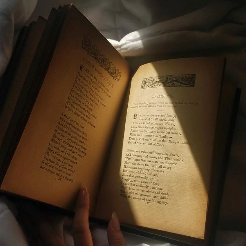 Võrdleva Kirjanduse Liidu aastakonverentsil