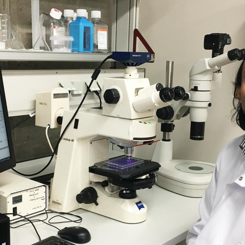 (Foto: Kadri Veisner, Fotol Amal D Premarathna)