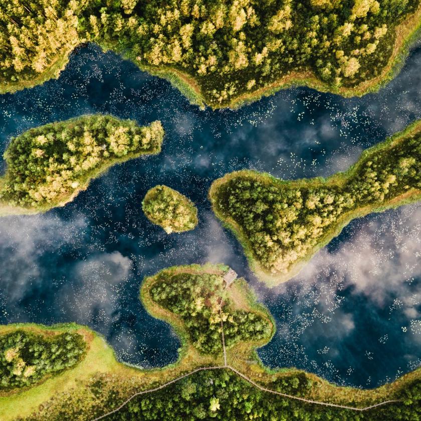 Mukri raba. Foto: Priidu Saart