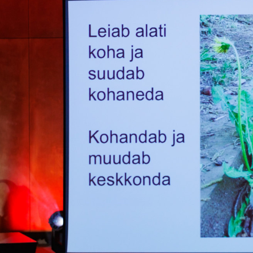 Kai Pata. Foto autor Arno Mikkor