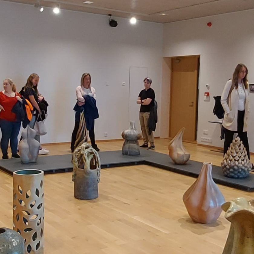 Noorsootöö vaatluspraktika