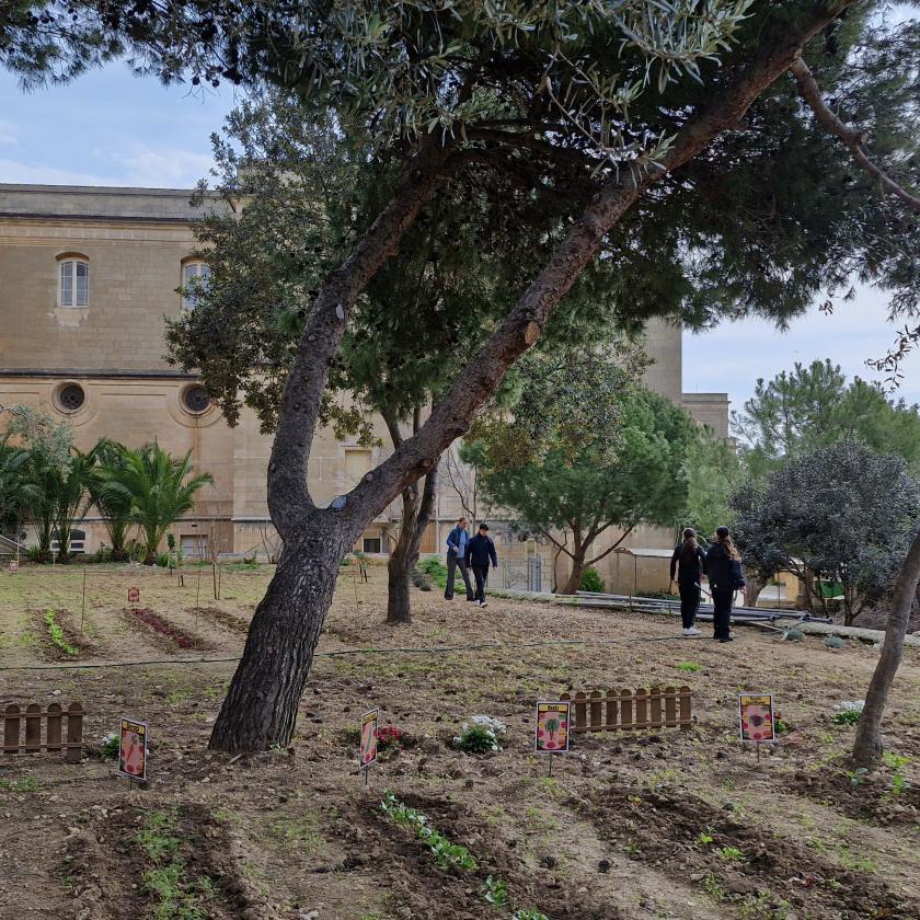 Malta student garden