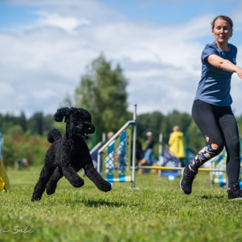 Ele Arder-fotograaf Õnnemari Sule