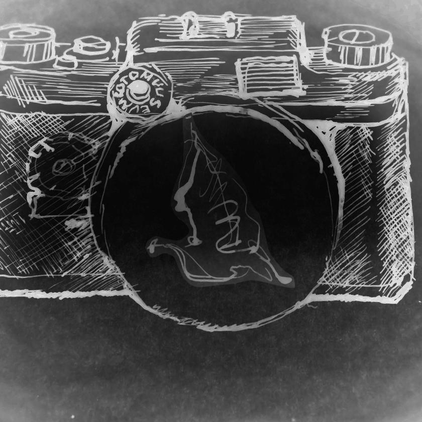 Videoinstallatsioon "Hingelind"