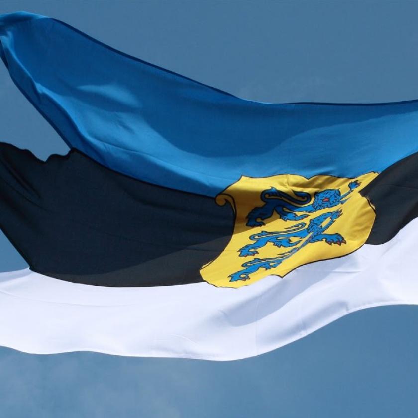 estonian flag