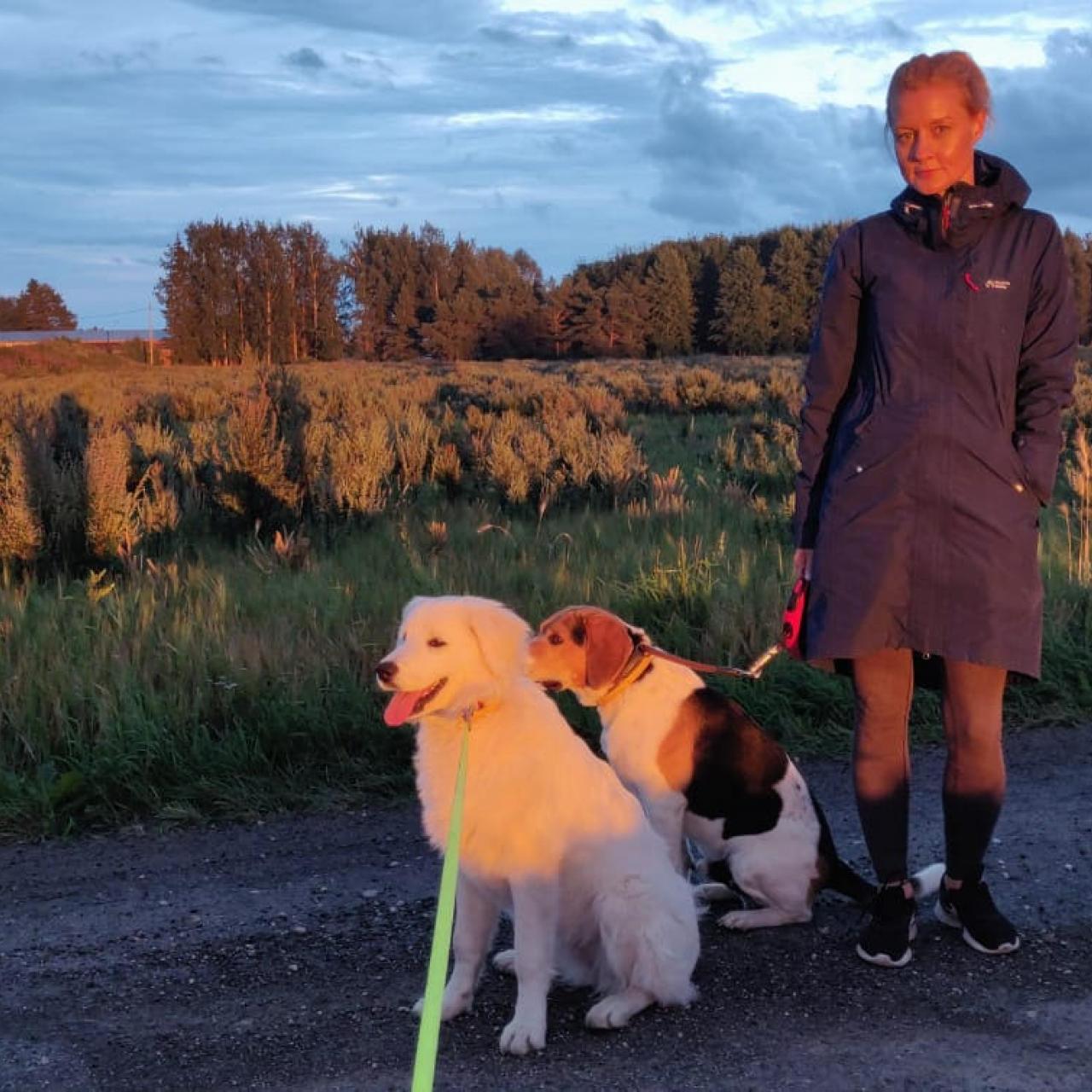 inimene ja kaks koera looduses