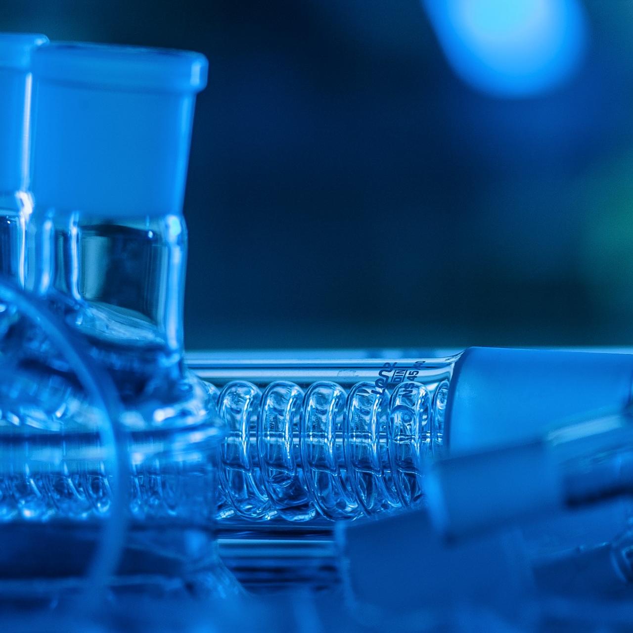 Molekulaarne biokeemia ja ökoloogia