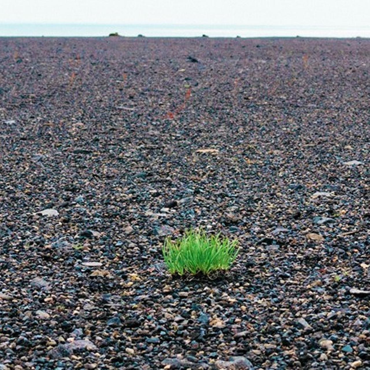 tühermaa