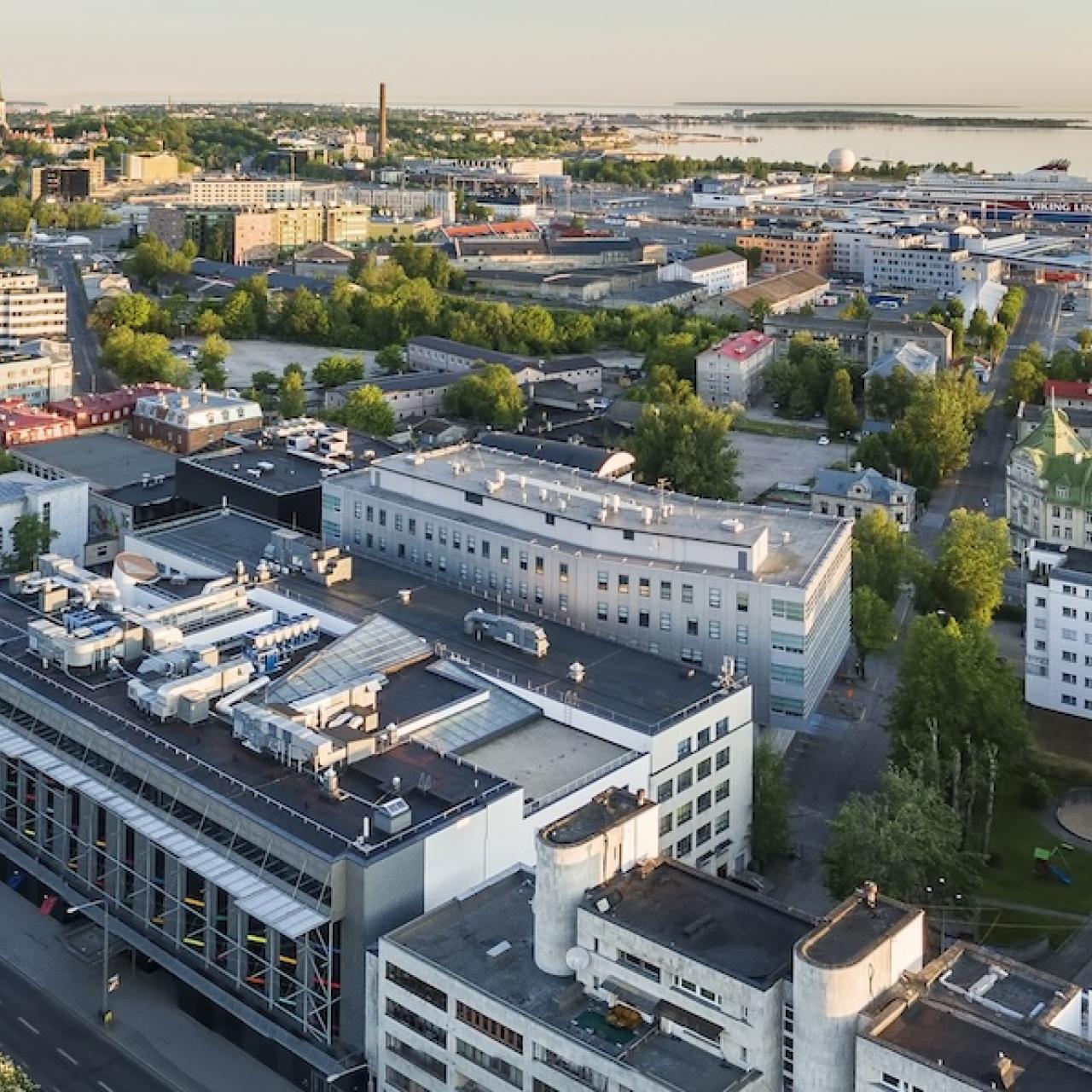 TLÜ linnak linnulennult