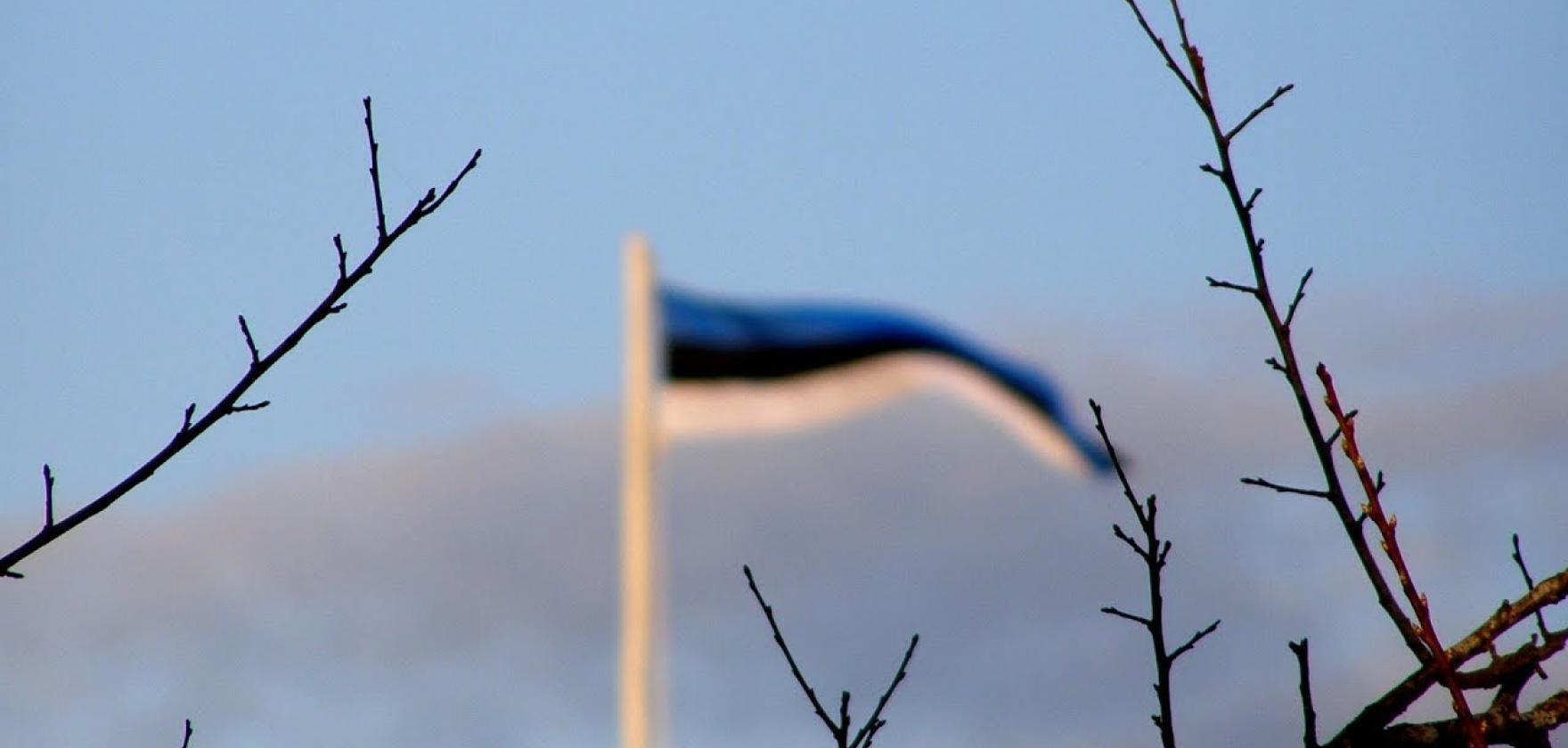 1 Minute Lecture: will the Estonian language go extinct? (Anna Verschik) Thumbnail