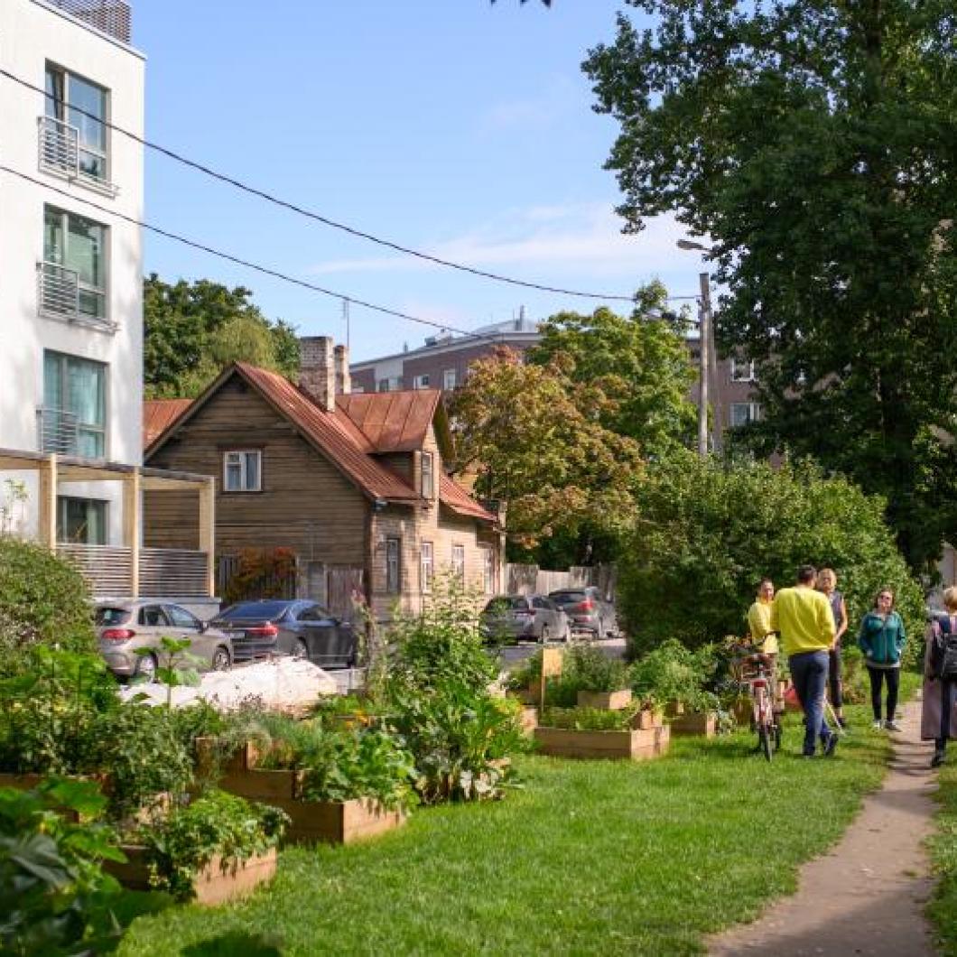 Kadrioru kogukonnaaed Kollasel tänaval