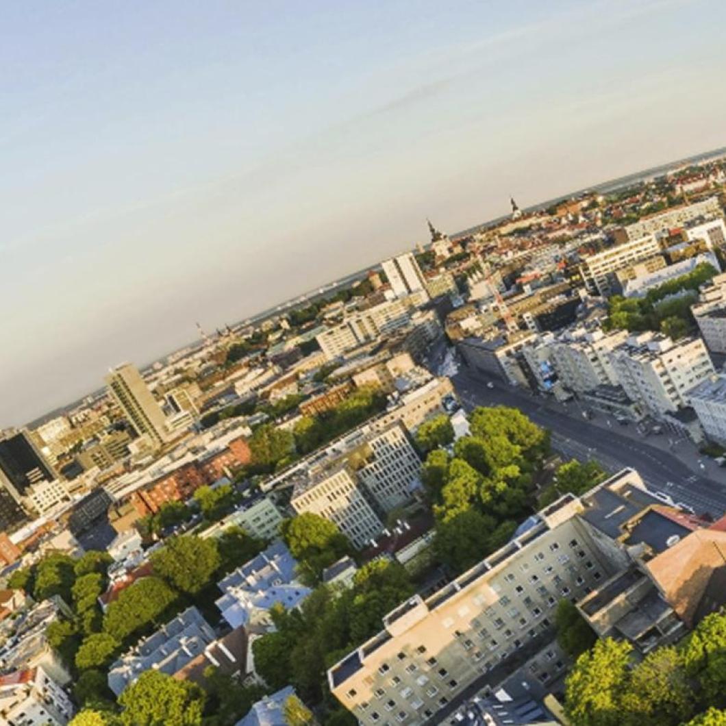 Tallinna Ülikool linnulennult