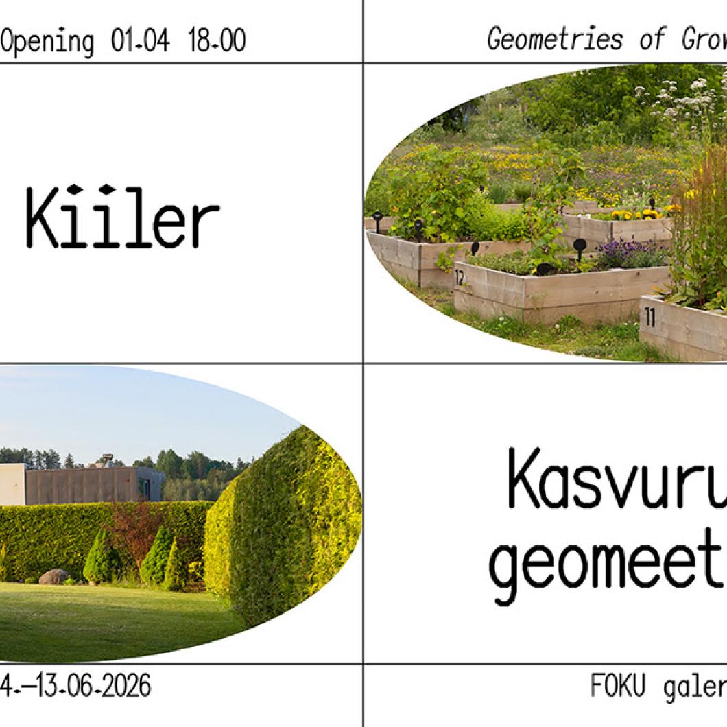 Eve Kiileri isikunäitus „Kasvuruumi geomeetriad“