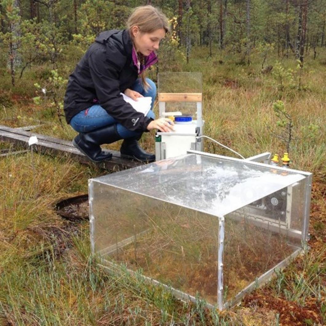 Measurement of carbon dioxide. AuthorTimo Penttilä