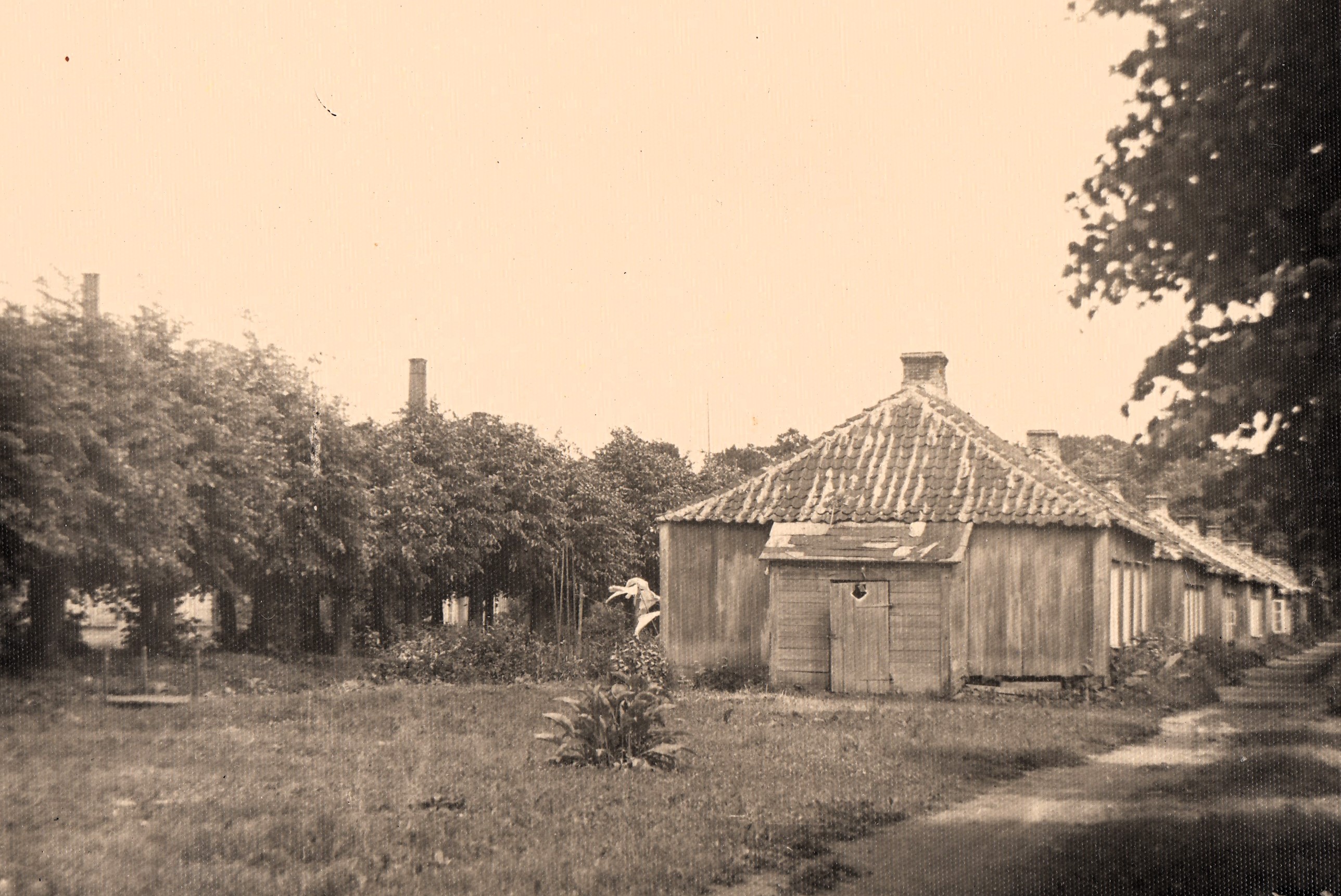 Neegriküla