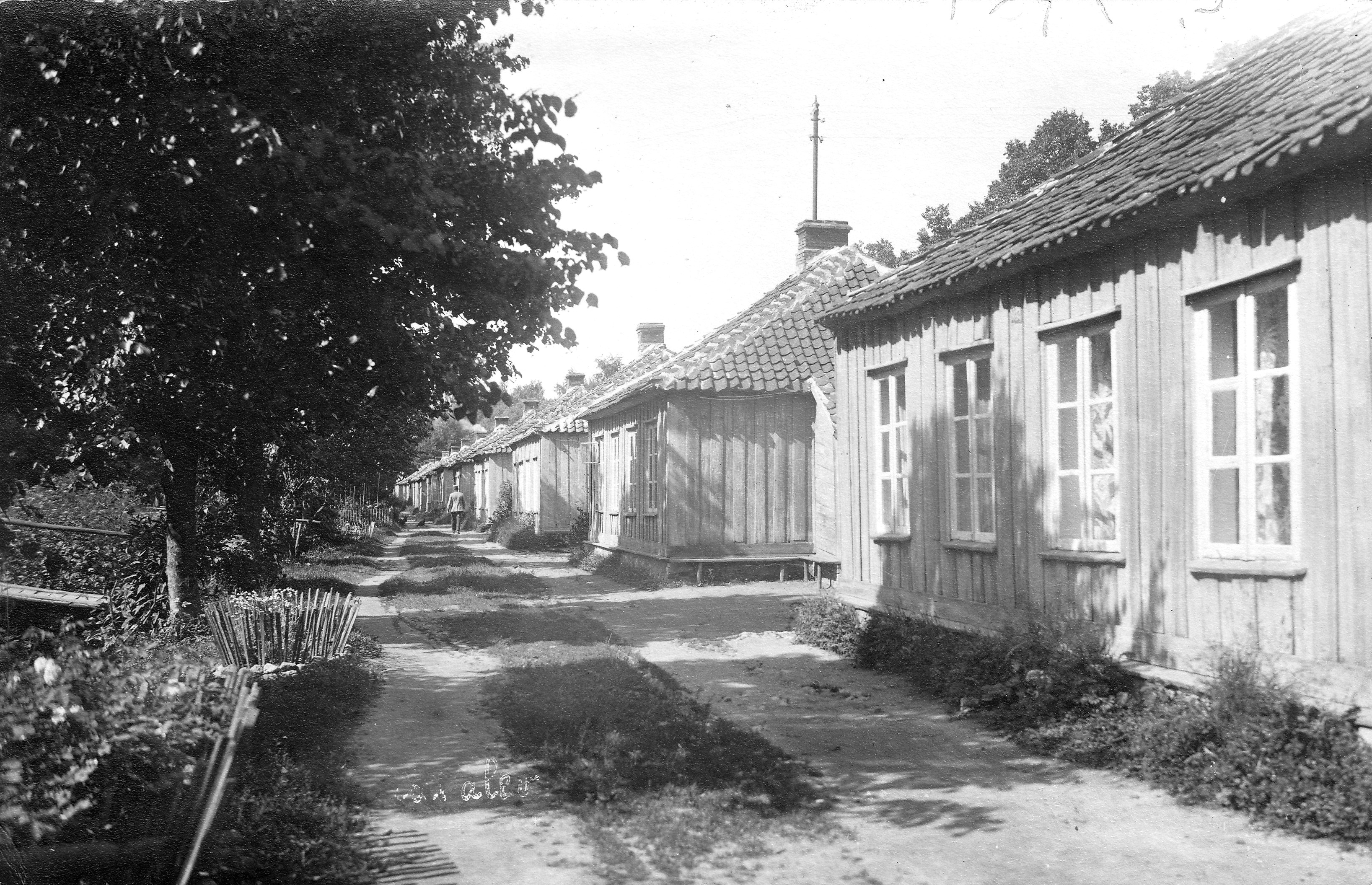 Neegriküla