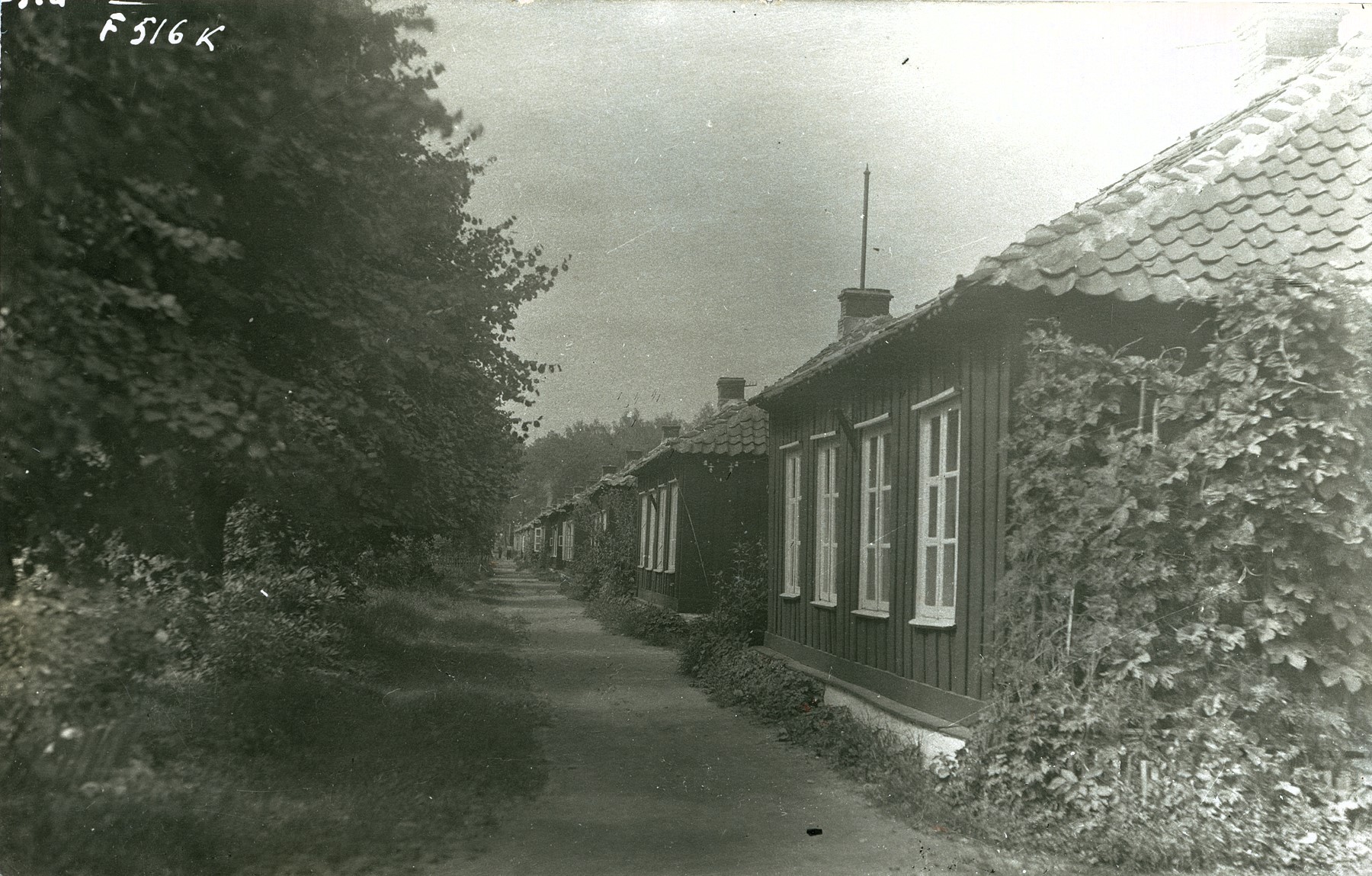 Neegriküla